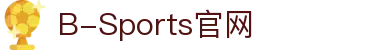 必一·运动(B-Sports)官方网站"